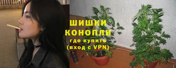 гашик Елабуга