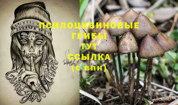 герыч Ельня