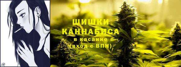 герыч Ельня