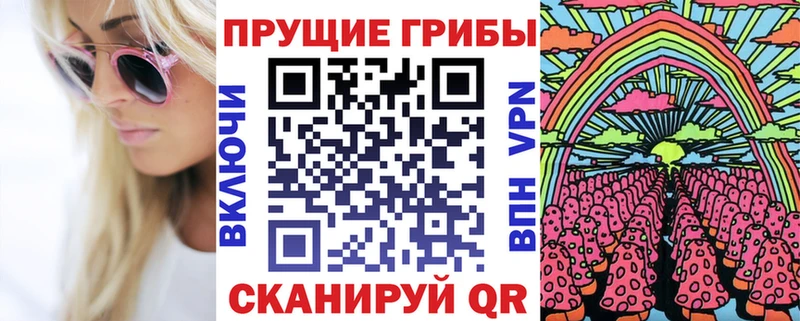Галлюциногенные грибы Psilocybe  Новомосковск 